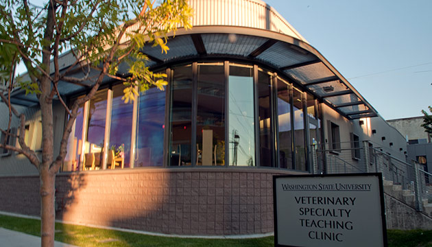 Veterinary Specialty Teaching Clinic , by Zach Mazur