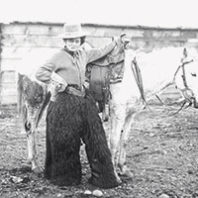 Cowperson with horse