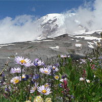 Mount Rainier