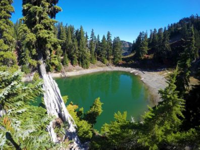 Skyline Ridge Primitive Trail, Olympic National Park