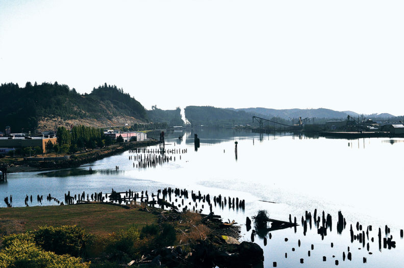 Wishkah and Chehalis Rivers