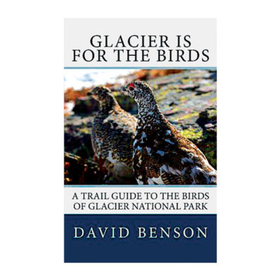 Glacier is for the Birds: A Trail Guide to the Birds of Glacier National Park cover