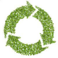 2016winter-wood-wing-lca-thumb