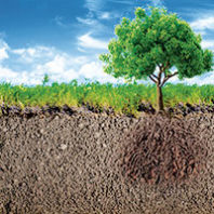 Zeroing in on critical zones