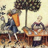“Pori”, or Leeks, Tucuinum sanitatis, 1380s, National Library of Vienna