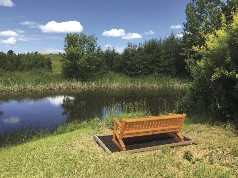 WSU Arboretum wildlife pond