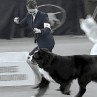 Stacy Slade ’00 and Tag