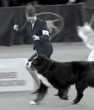 Stacy Slade ’00 and Tag