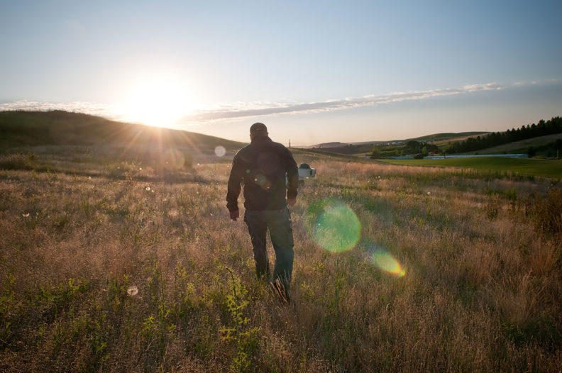 Native grasses at Palouse Ridge