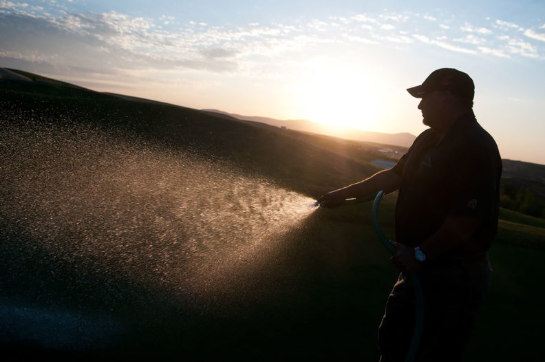 Watering at Palouse Ridge