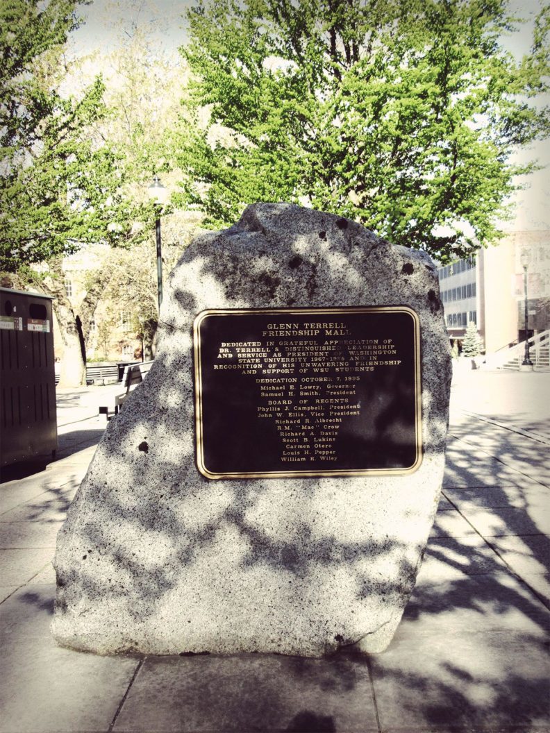 Glenn Terrell Friendship Mall stone