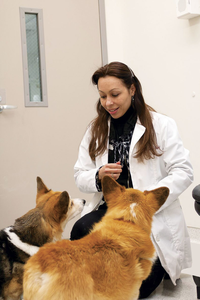 Leticia Fanucchi working with dogs Moli and Mic