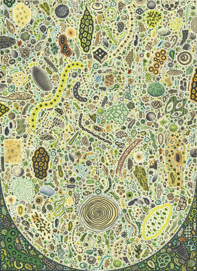 Microbiome in the human breast - illustration by Colin Johnson