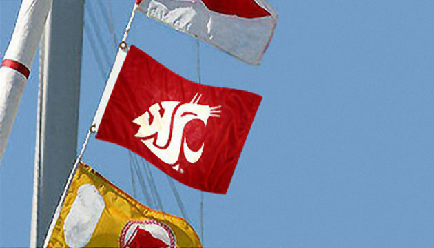 WSU Cougar flag