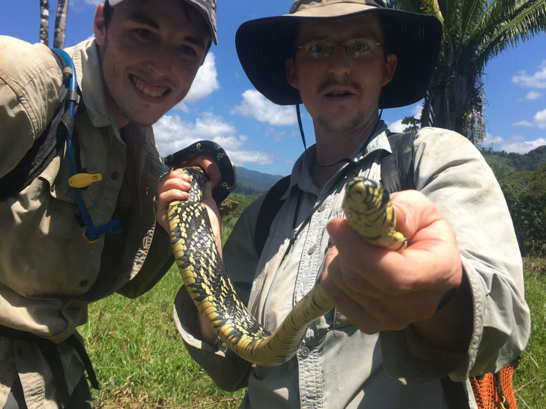 Biologist holds a fer-de-lance viper