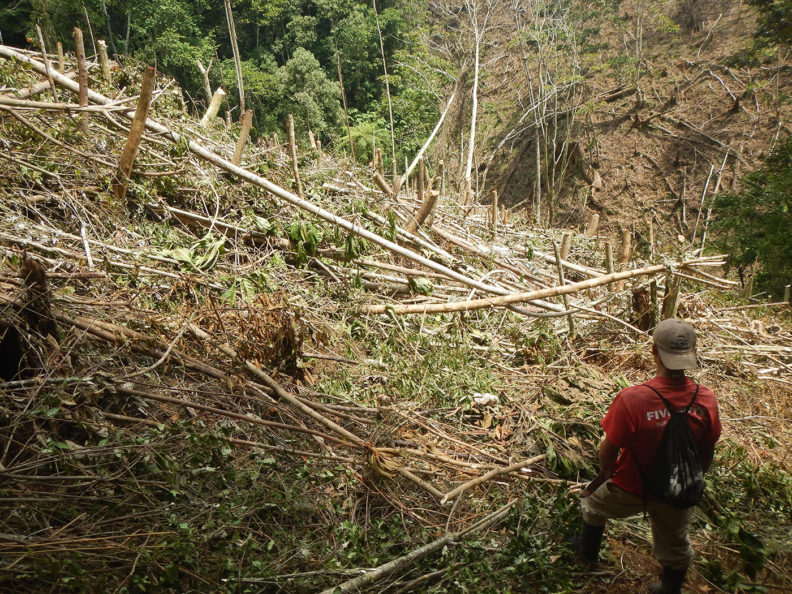 Deforested hillside in Honduras