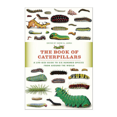 Cover of The Book of Caterpillars