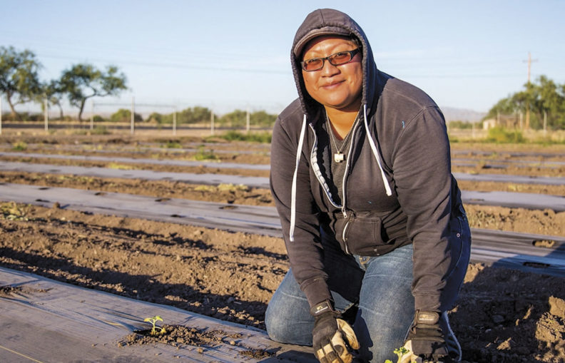 Woman farmer planting