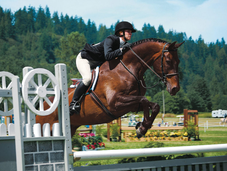 Laura Moore on horse jumping in equestrian contest