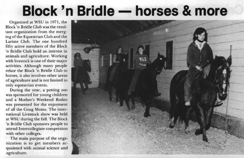 Horse clubs at WSU, 1980