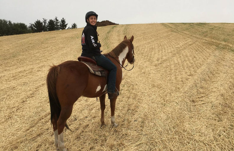 WSU student on horse in wheat field