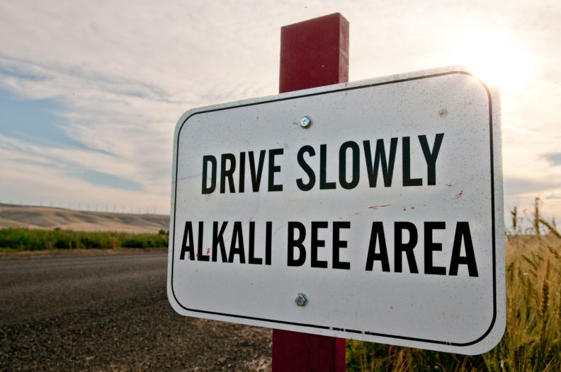 Speed limit sign for alkali bees