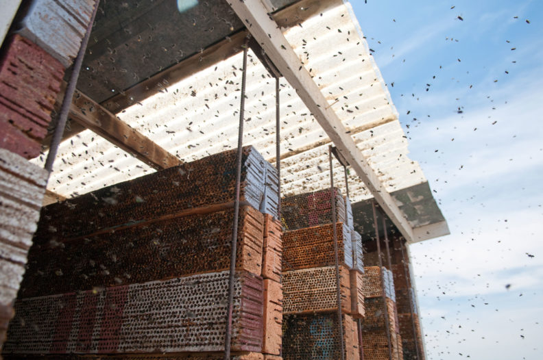 Bee board “hotels”