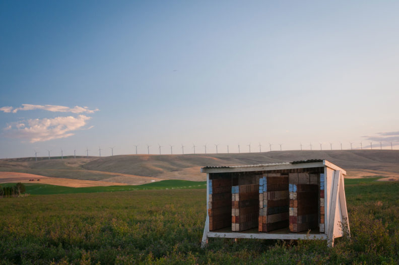 Alfalfa leafcutter bee hut
