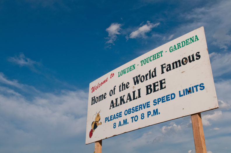 Lowden-Touchet-Gardena alkali bees sign