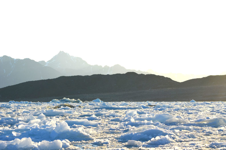 Arctic landscape near Svalbard with ice and mountains. Photo Debbie Lee
