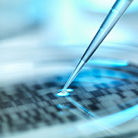 DNA autoradiogram in a petri dish (Photo Rafe Swan/Alamy)