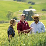 Arron Carter and WSU graduate students at the Spillman Agronomy Farm