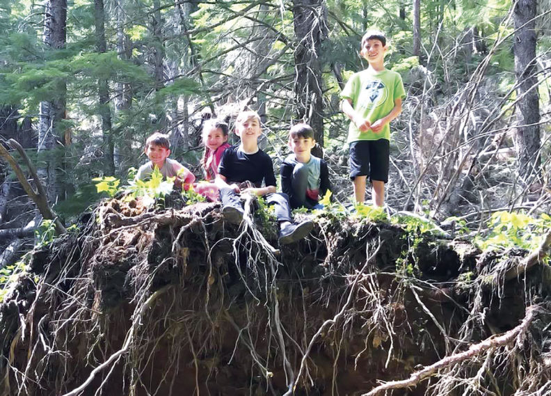 Children explore the woods during a camping trip