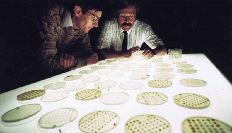 Jim Cook examines soil samples