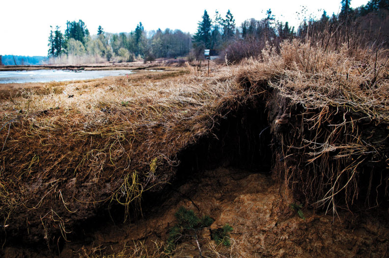 Remains of a Native American campfire from 500 years ago at Meyer's Point