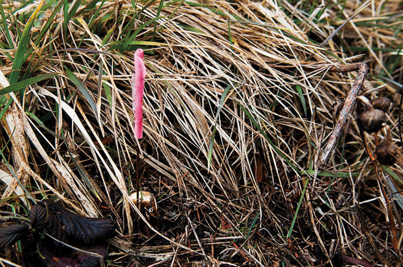 simple surveying system