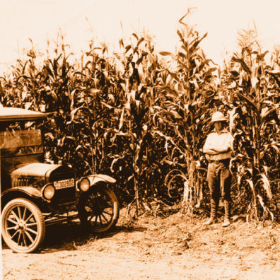 Model T and tall corn at WSU Prosser research station
