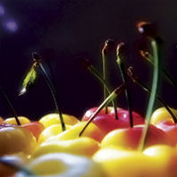 Rainier cherries. Photo Natalia Esina