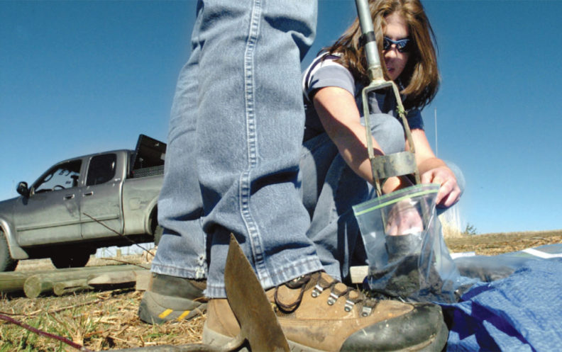 Taking soil samples for preparation of grape planting