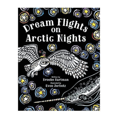 Cover of Dream Flights on Arctic Nights