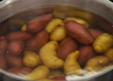 Fingerling potatoes in hot water. Photo Shelly Hanks