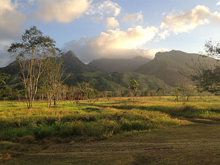 Grasslands and mountains of Papua New Guinea
