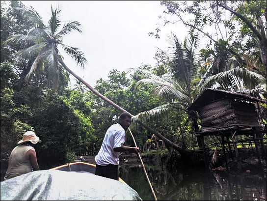 Man poles a boat down a river in Papua New Guinea