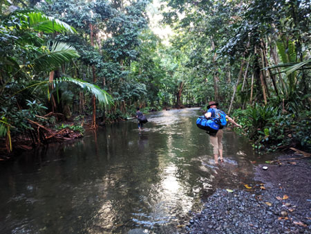 Man wades over shallow waterway in Papua New Guinea jungle