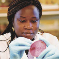 Sylvia Omulo at WSU examines a petri dish