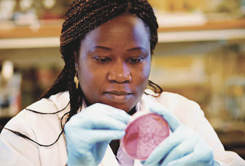 Sylvia Omulo at WSU examines a petri dish