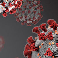 Coronavirus illustration
