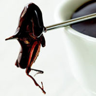 Skewered bug
