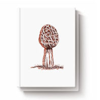 Book cover with mushroom