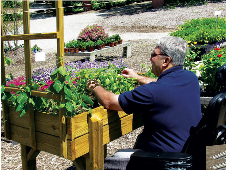Man in a wheelchair sits at a raised garden bed